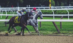 Expert Horse Racing Picks on Sunday @ Belmont Park, Churchill Downs and Santa Anita Park. 9 BEST BETS and W/P/S On All 32 Races!